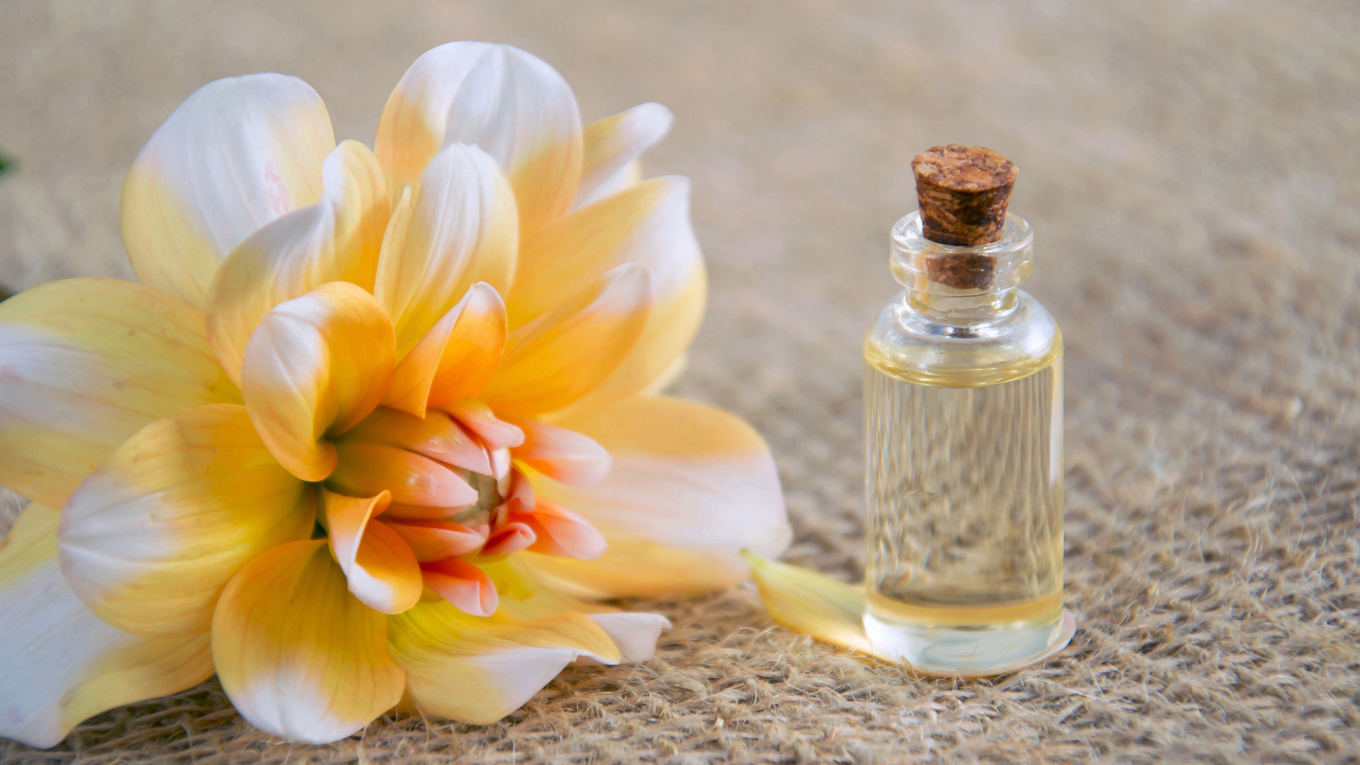 Flower and essential oil