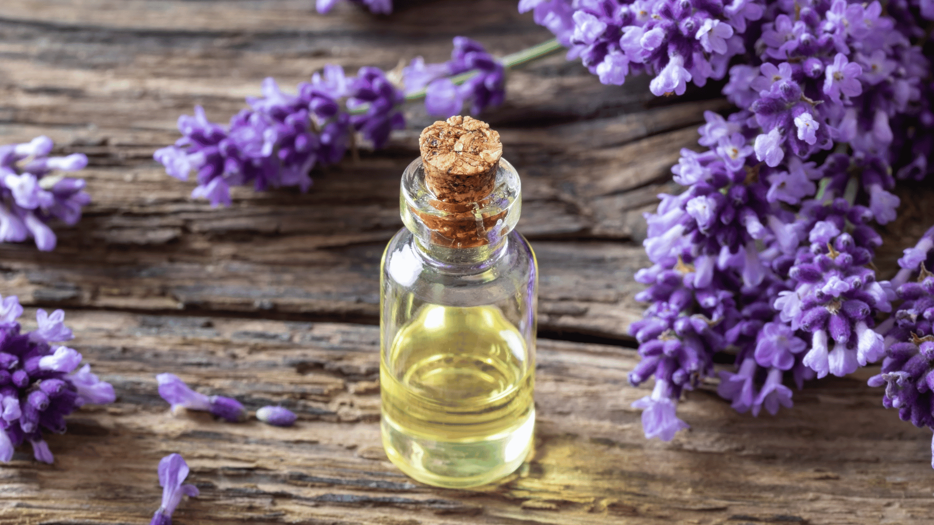 Lavender Oil for Hair