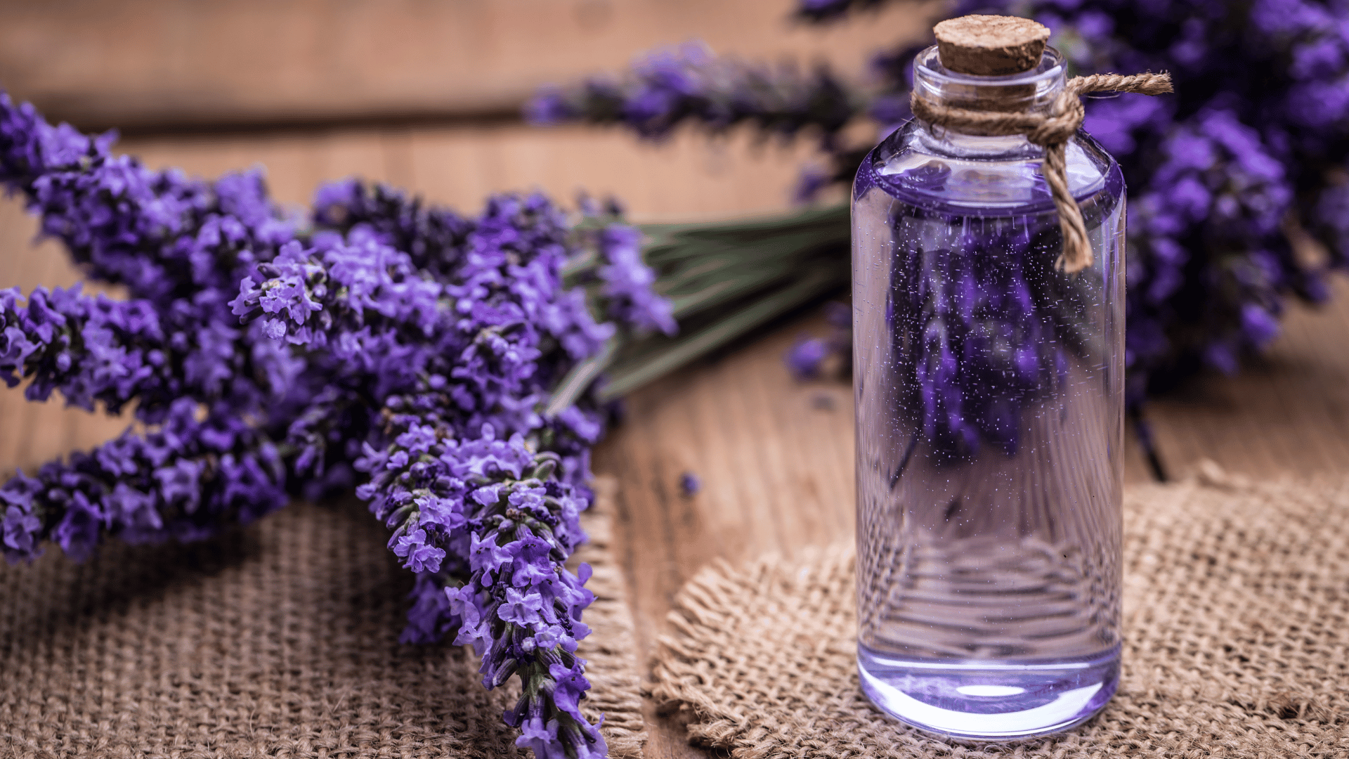 Lavender Oil for Hair