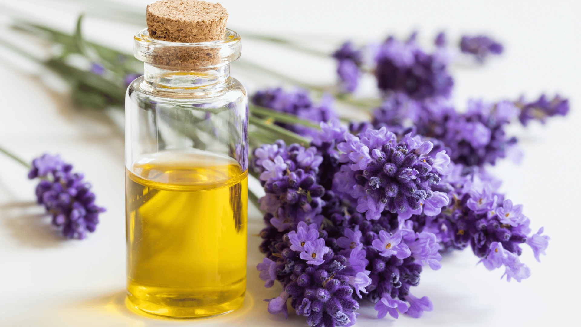 Lavender Oil for Hair